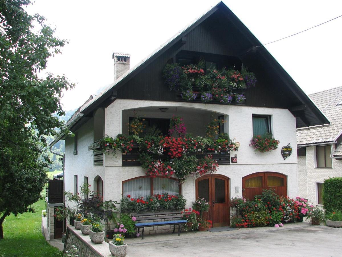 2 Studio & Apartment Cvetek Bohinj Esterno foto