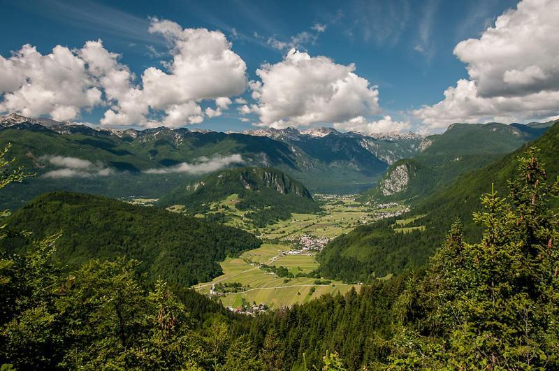 2 Studio & Apartment Cvetek Bohinj Esterno foto