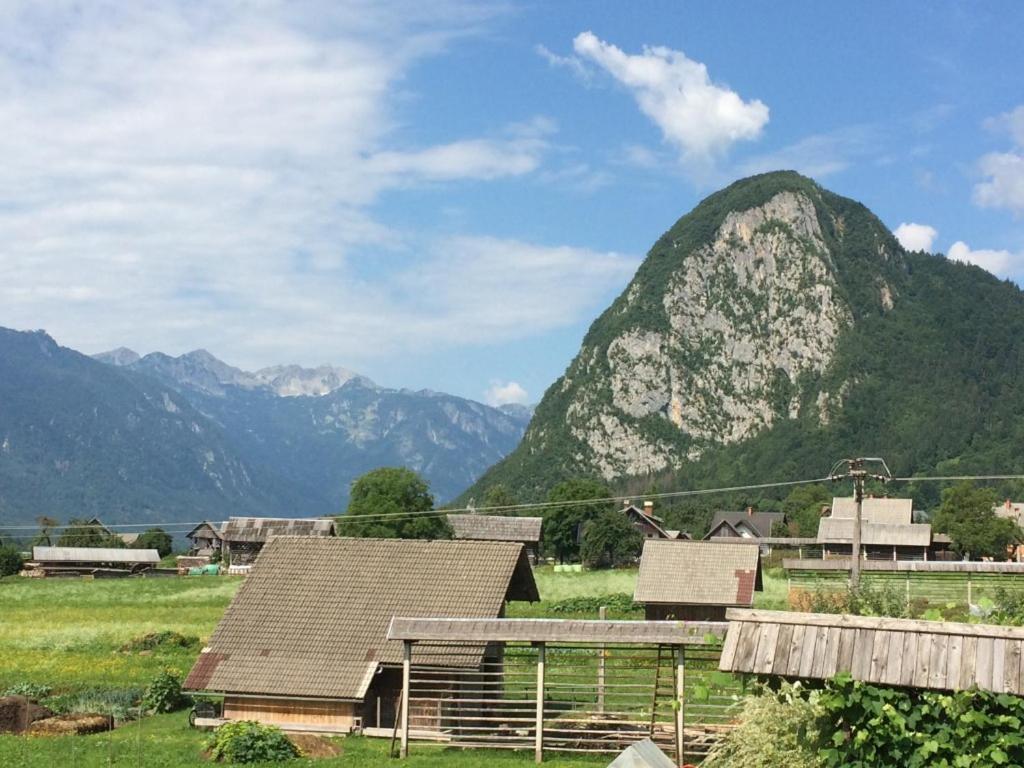 2 Studio & Apartment Cvetek Bohinj Esterno foto